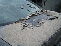 bild (27)